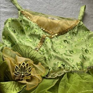 Disney Tiana Enchanted Princess Dress